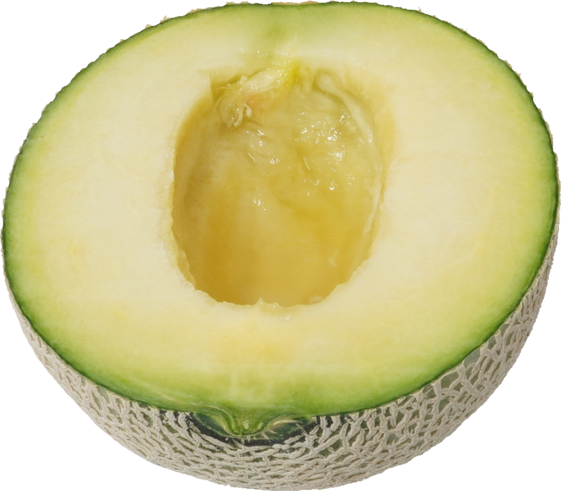 メロン｜商用可フリー画像・背景透過