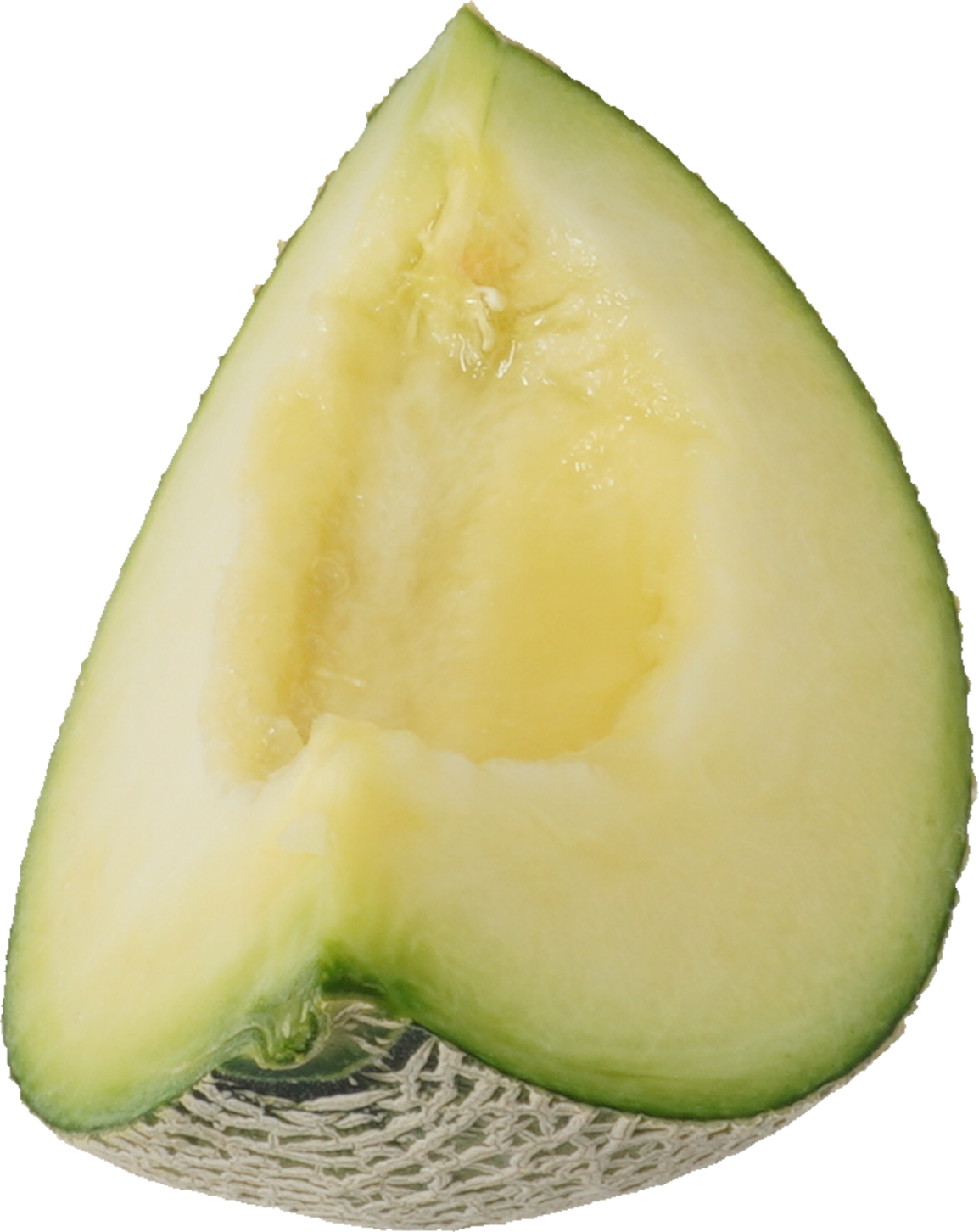 メロン｜商用可フリー画像・背景透過