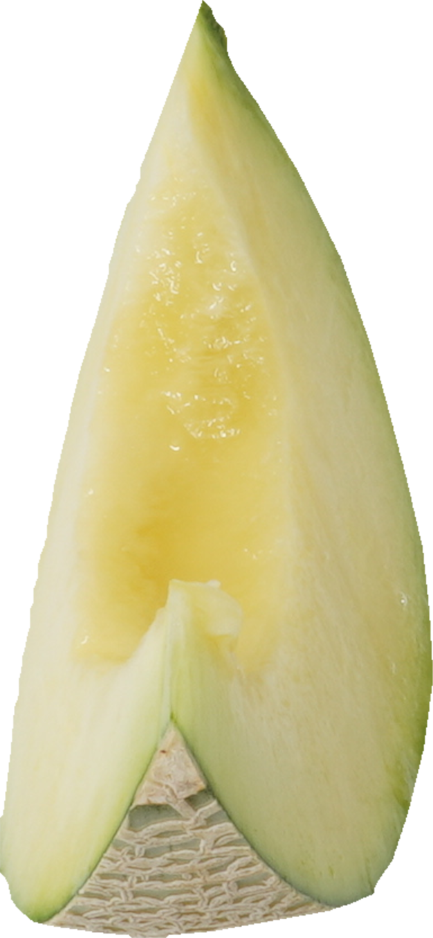 メロン｜商用可フリー画像・背景透過