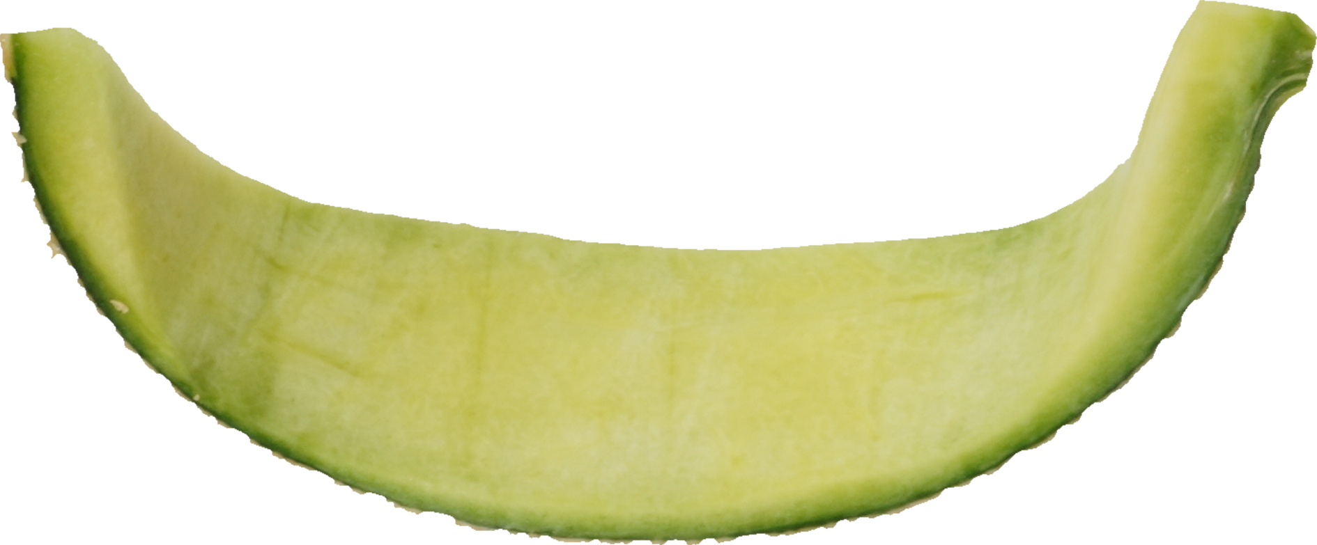 メロン｜商用可フリー画像・背景透過