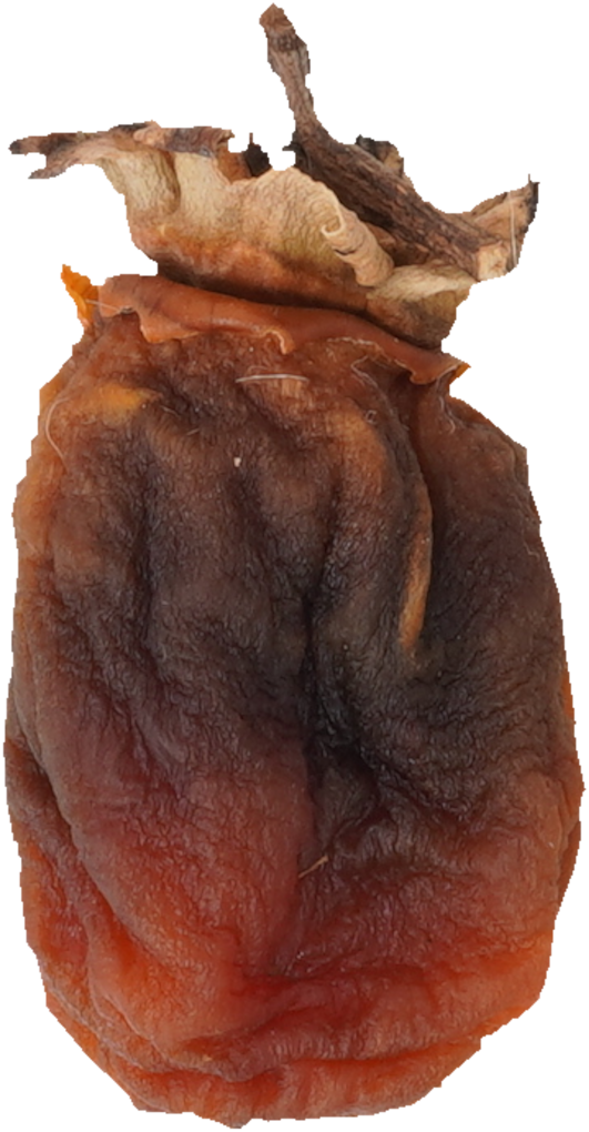 干し柿｜商用可フリー画像・背景透過