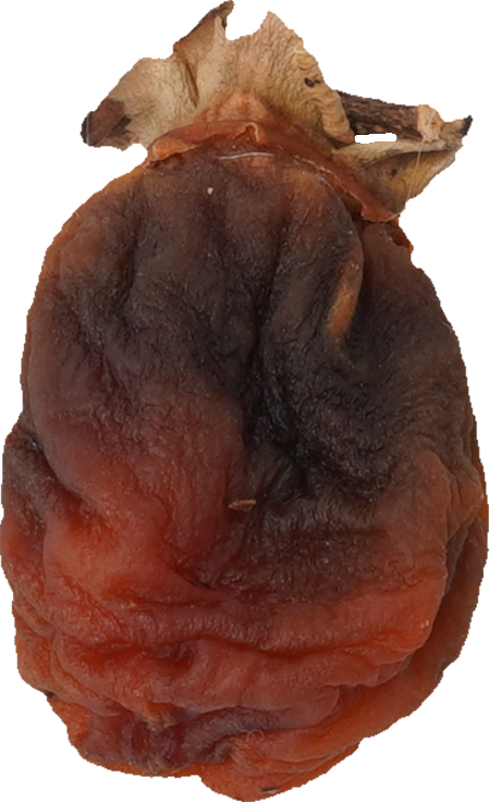 干し柿｜商用可フリー画像・背景透過