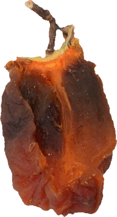 干し柿｜商用可フリー画像・背景透過