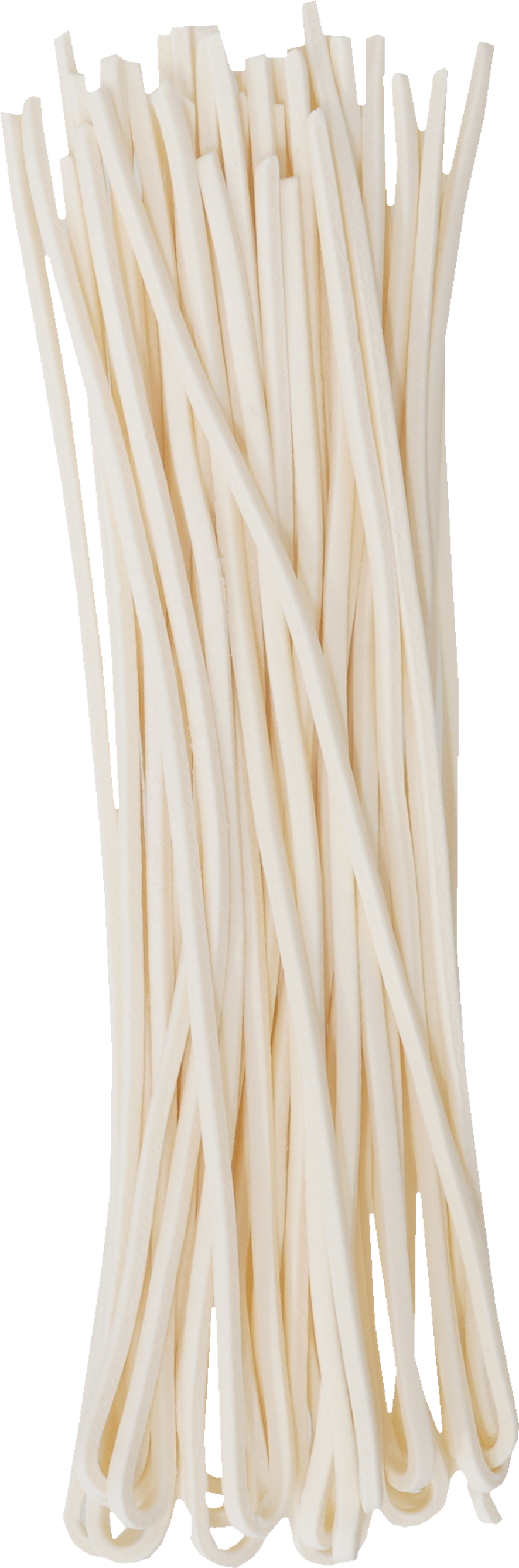 半生うどん｜商用可フリー画像・背景透過