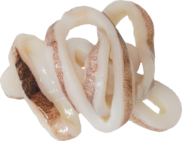 するめいか｜商用可フリー画像・背景透過