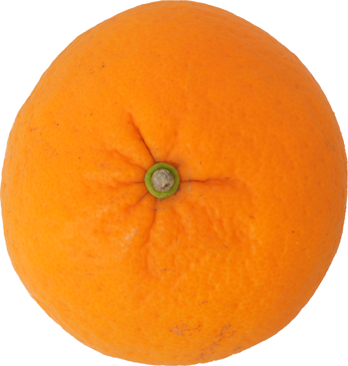 なつみかん｜商用可フリー画像・背景透過