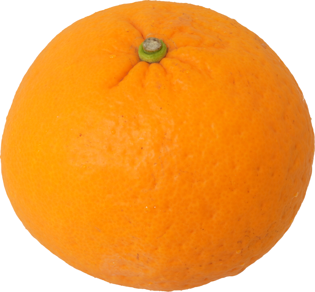 なつみかん｜商用可フリー画像・背景透過