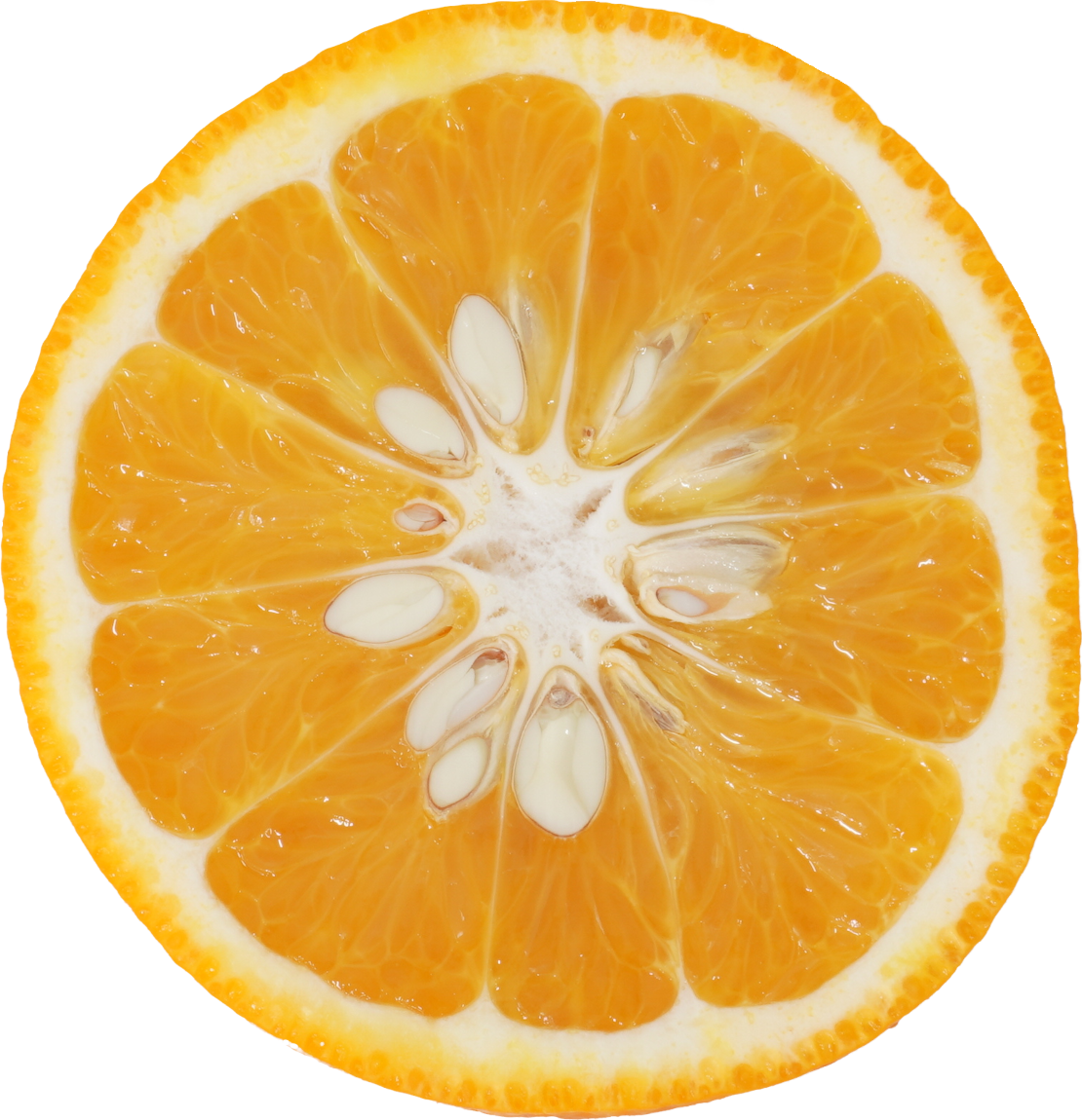 なつみかん｜商用可フリー画像・背景透過