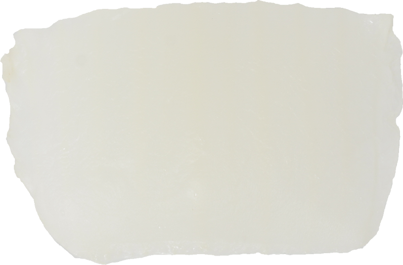 はくさい（ゆで）｜商用可フリー画像・背景透過