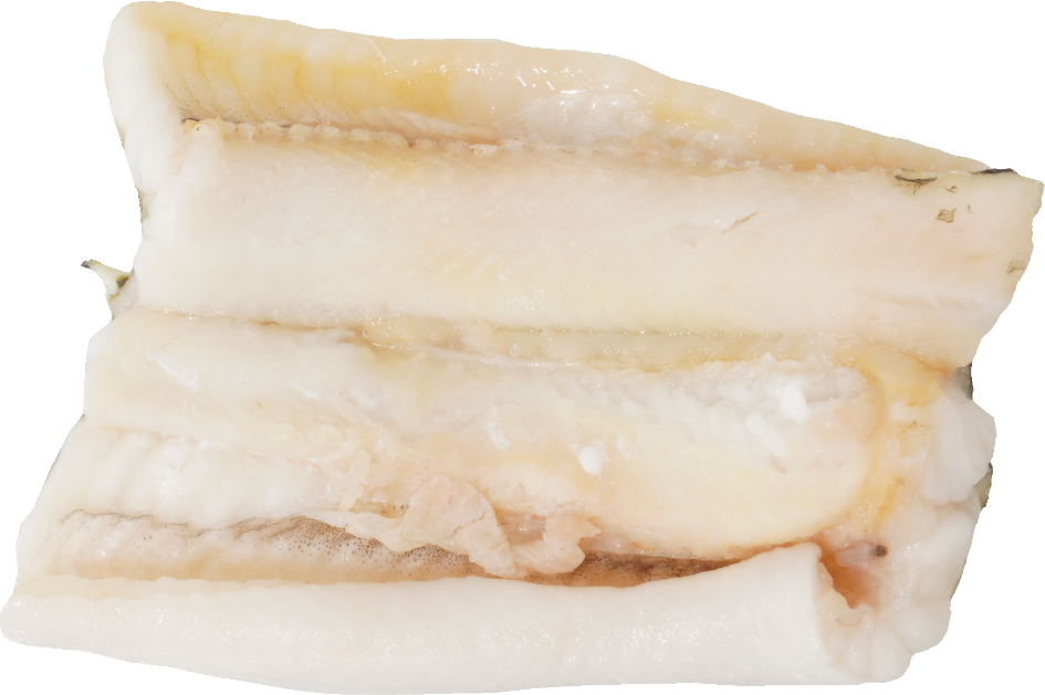 あなご（蒸し）｜商用可フリー画像・背景透過