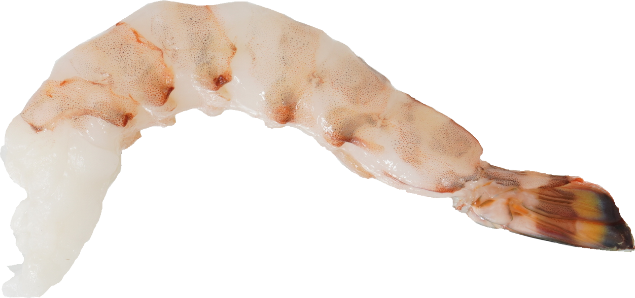 くるまえび｜商用可フリー画像・背景透過