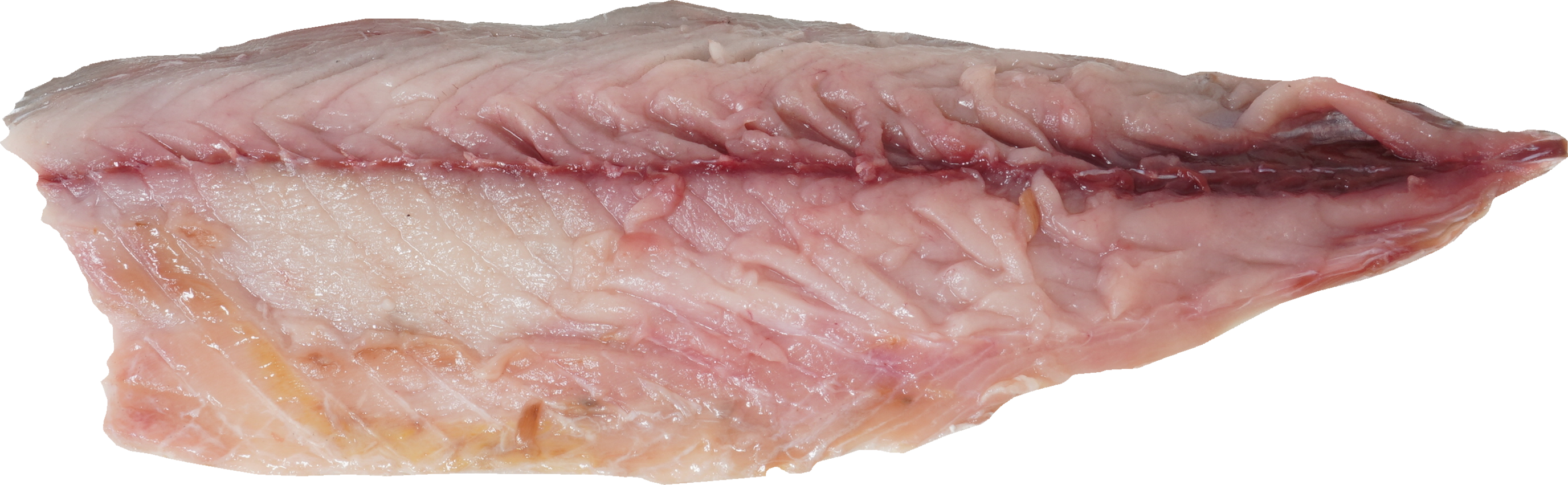 まさば｜商用可フリー画像・背景透過