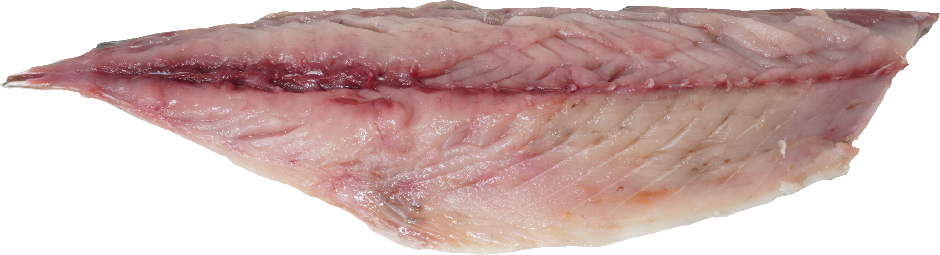 まさば｜商用可フリー画像・背景透過