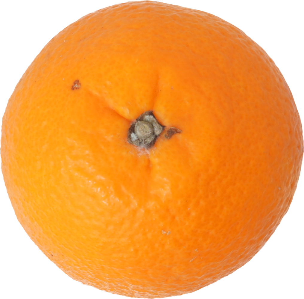 いよかん｜商用可フリー画像・背景透過