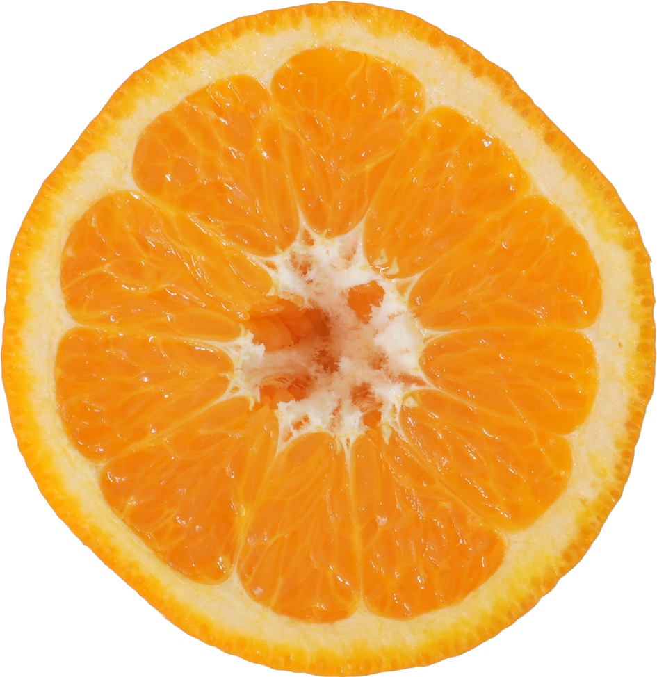 いよかん｜商用可フリー画像・背景透過