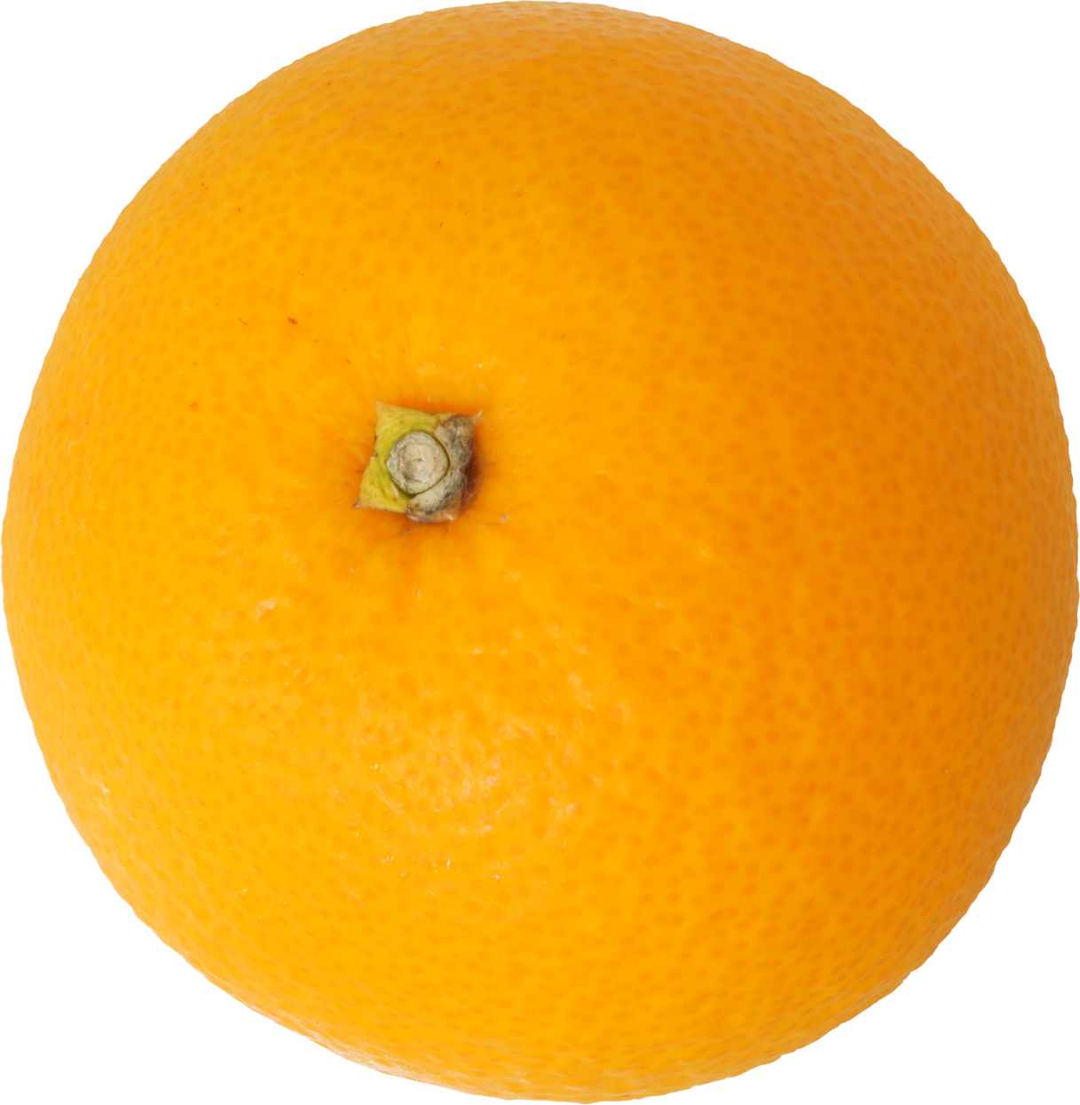 はっさく｜商用可フリー画像・背景透過