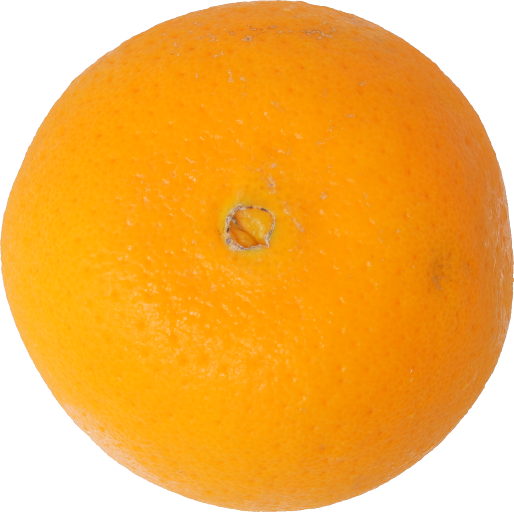 オレンジ（ネーブル）｜商用可フリー画像・背景透過