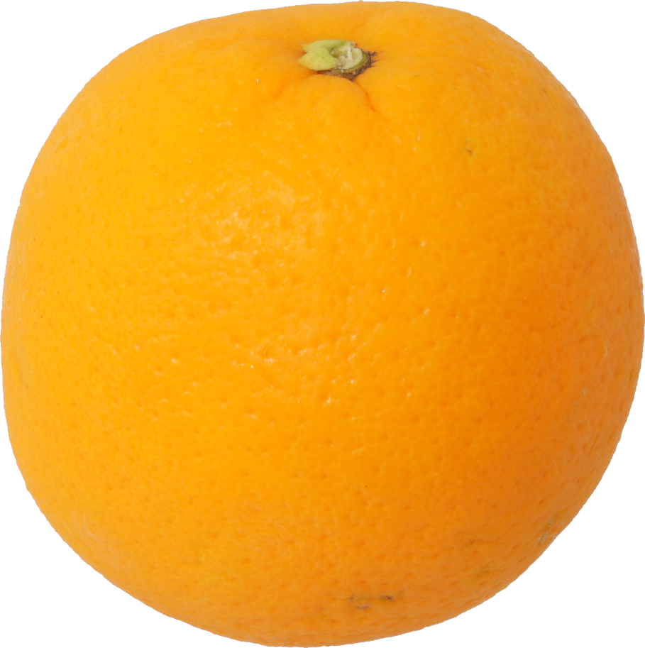 オレンジ（ネーブル）｜商用可フリー画像・背景透過