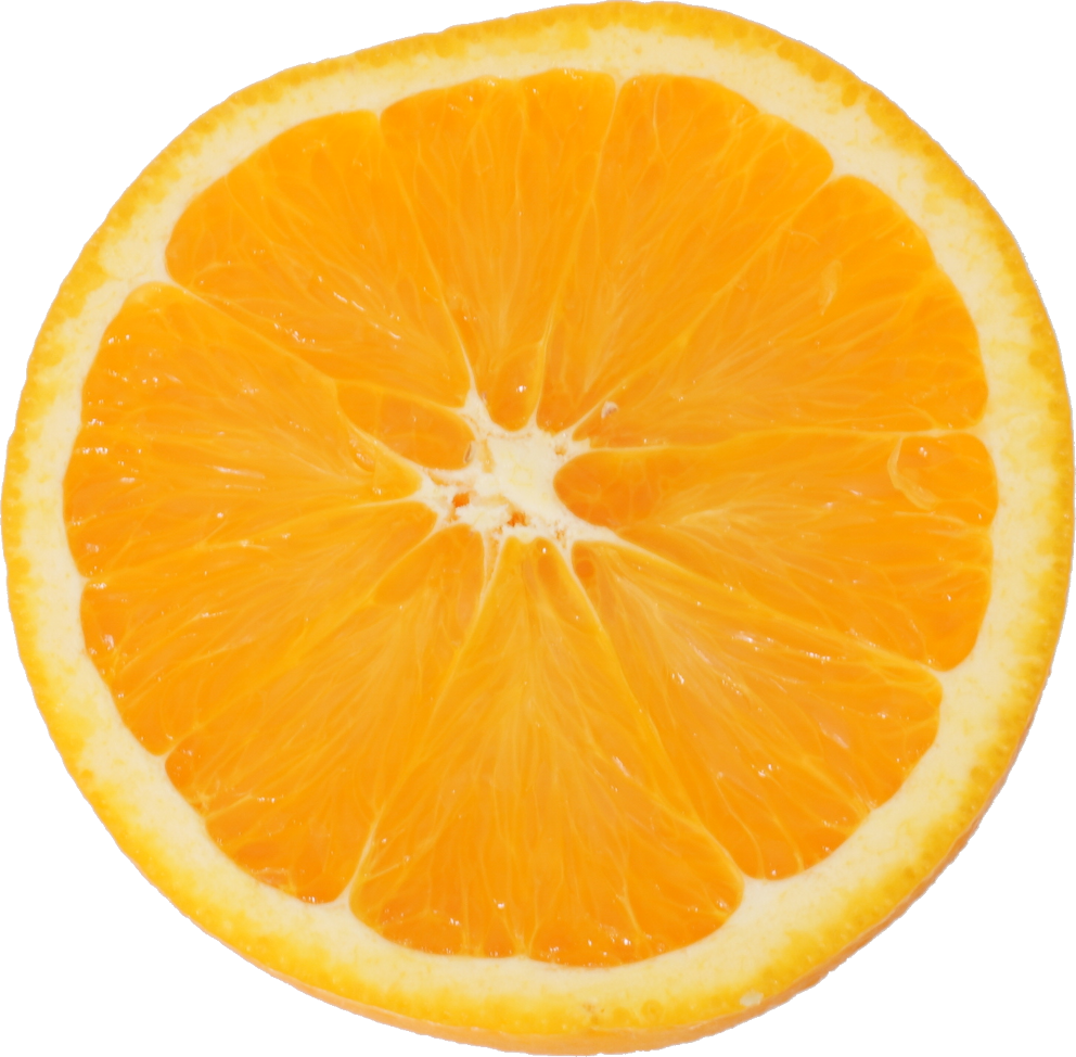 オレンジ（ネーブル）｜商用可フリー画像・背景透過
