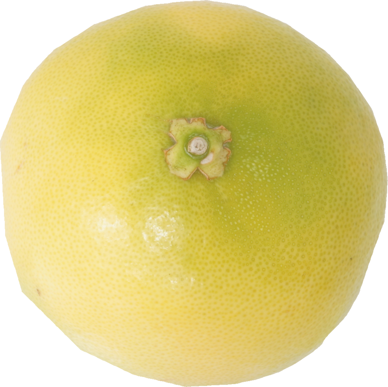 メロゴールド｜商用可フリー画像・背景透過