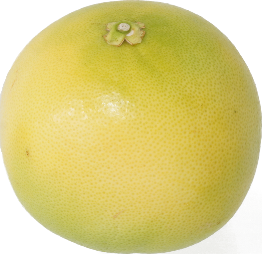 メロゴールド｜商用可フリー画像・背景透過