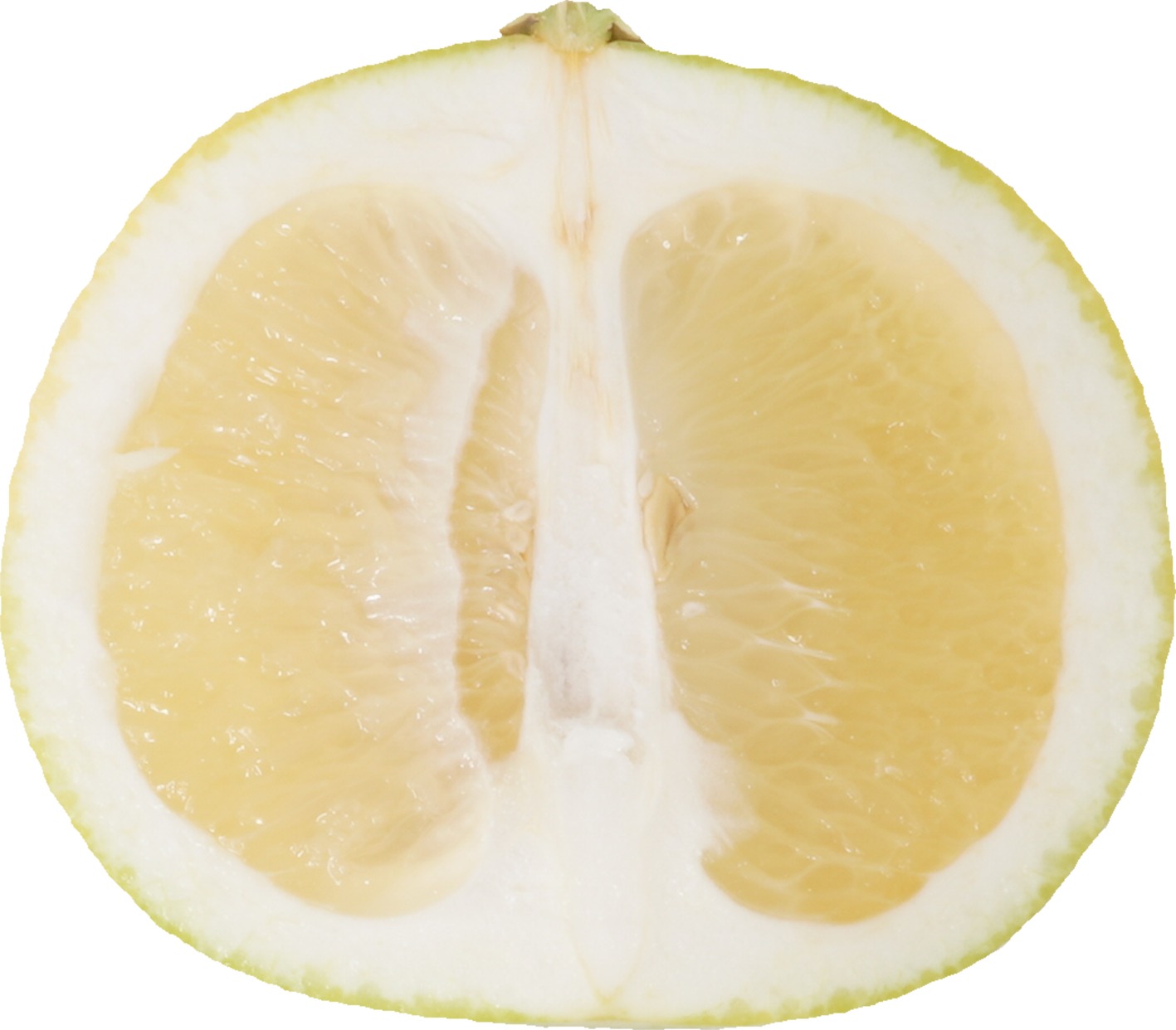 メロゴールド｜商用可フリー画像・背景透過