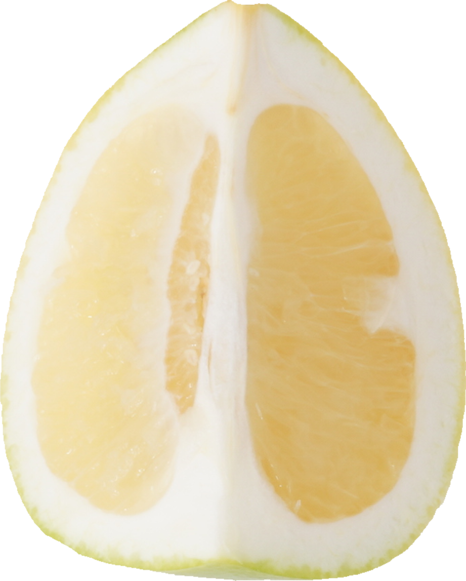 メロゴールド｜商用可フリー画像・背景透過