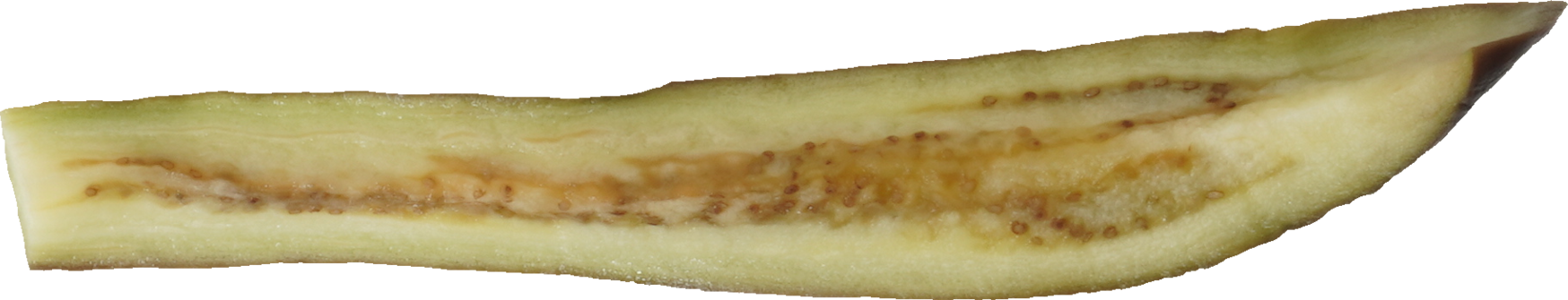 なす（ゆで）｜商用可フリー画像・背景透過