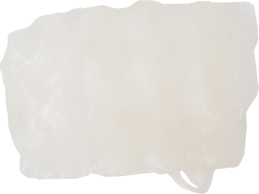 はくさい（漬物・塩漬）｜商用可フリー画像・背景透過