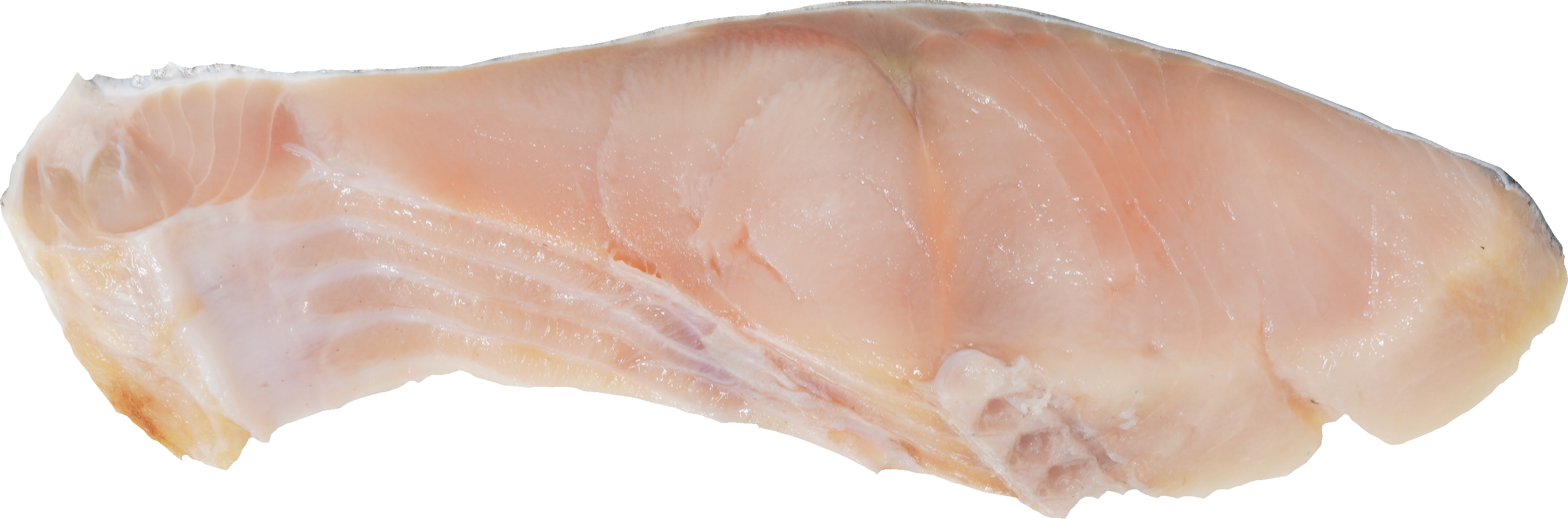 しろさけ　塩ざけ｜商用可フリー画像・背景透過