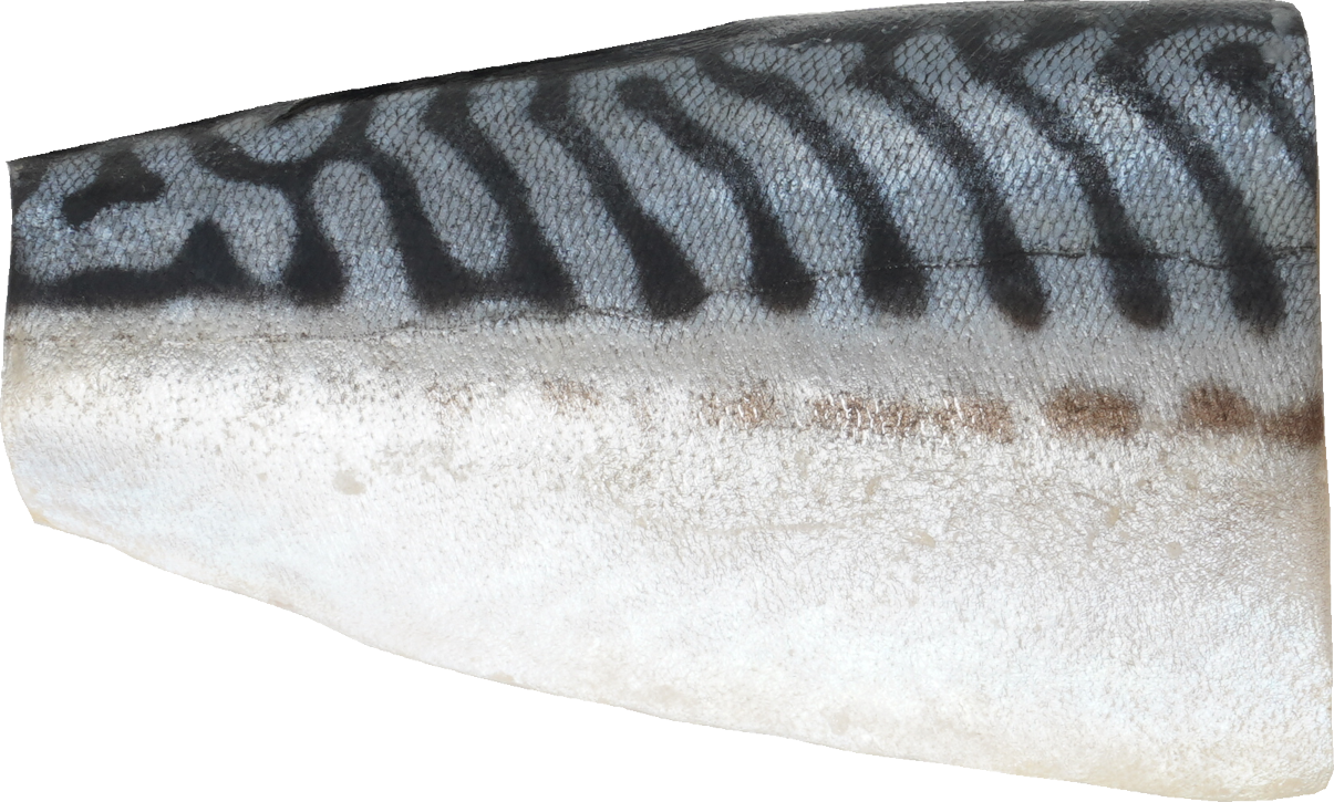 塩さば｜商用可フリー画像・背景透過