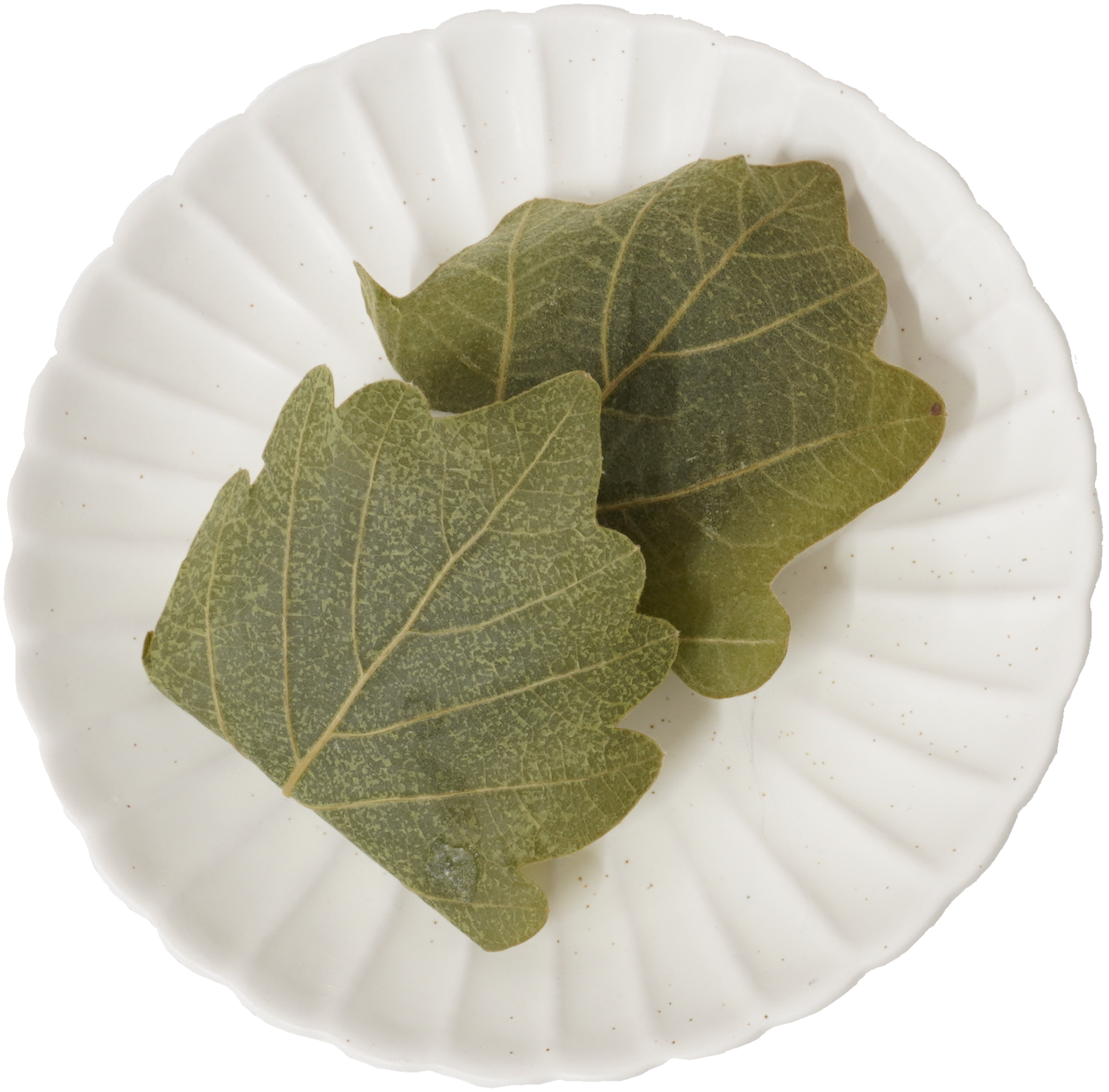 かしわもち｜商用可フリー画像・背景透過