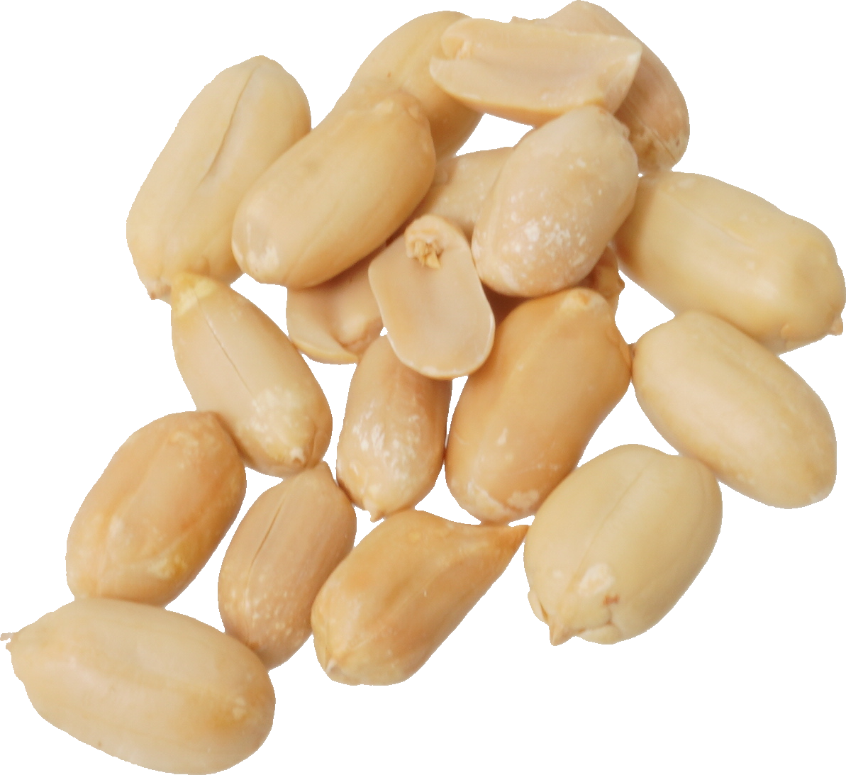 らっかせい｜商用可フリー画像・背景透過