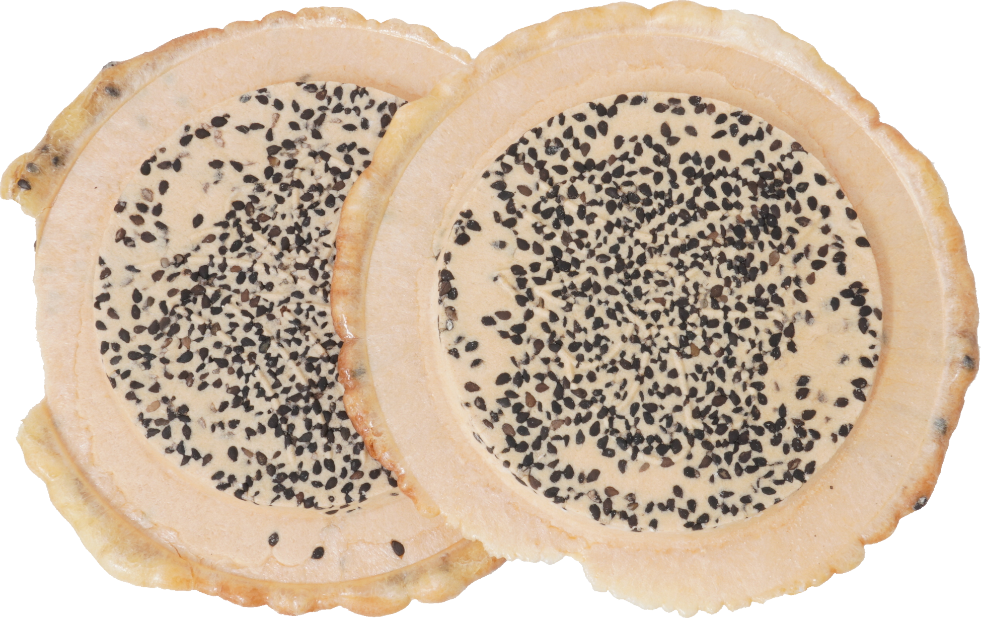 南部せんべい（ごま入り）｜商用可フリー画像・背景透過