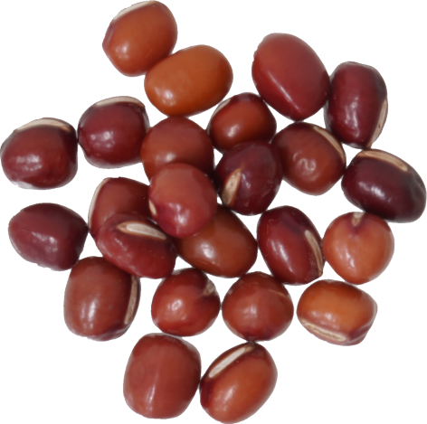 あずき（乾）｜商用可フリー画像・背景透過