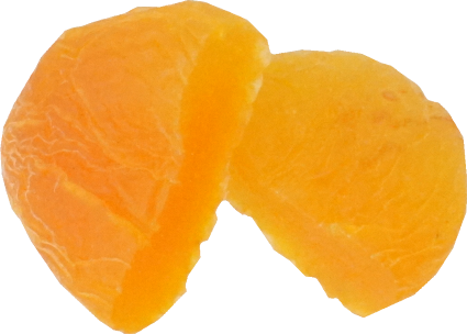 あんず（乾）｜商用可フリー画像・背景透過