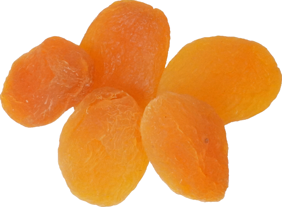 あんず（乾）｜商用可フリー画像・背景透過