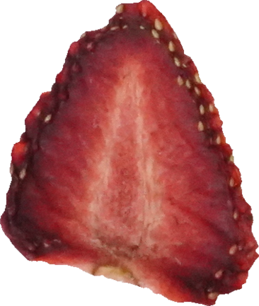 いちご（乾）｜商用可フリー画像・背景透過