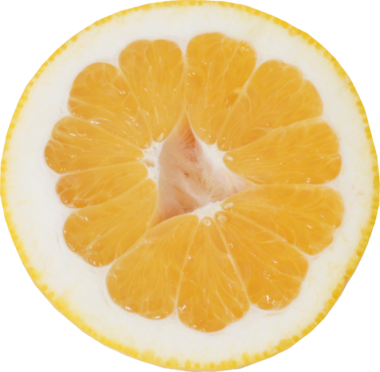 かわちばんかん｜商用可フリー画像・背景透過