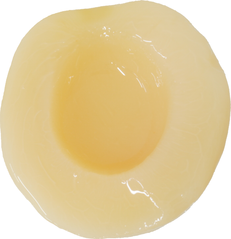 もも（缶詰・白色種【白桃】）｜商用可フリー画像・背景透過