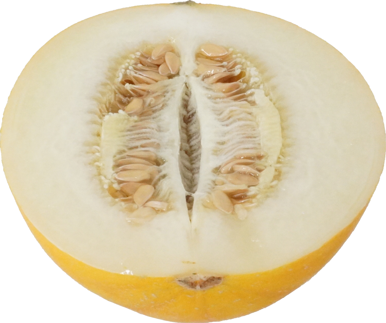 イエローキングメロン｜商用可フリー画像・背景透過