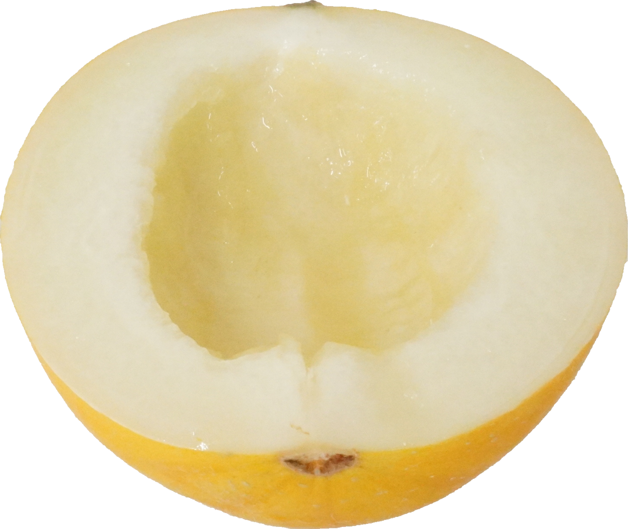 イエローキングメロン｜商用可フリー画像・背景透過