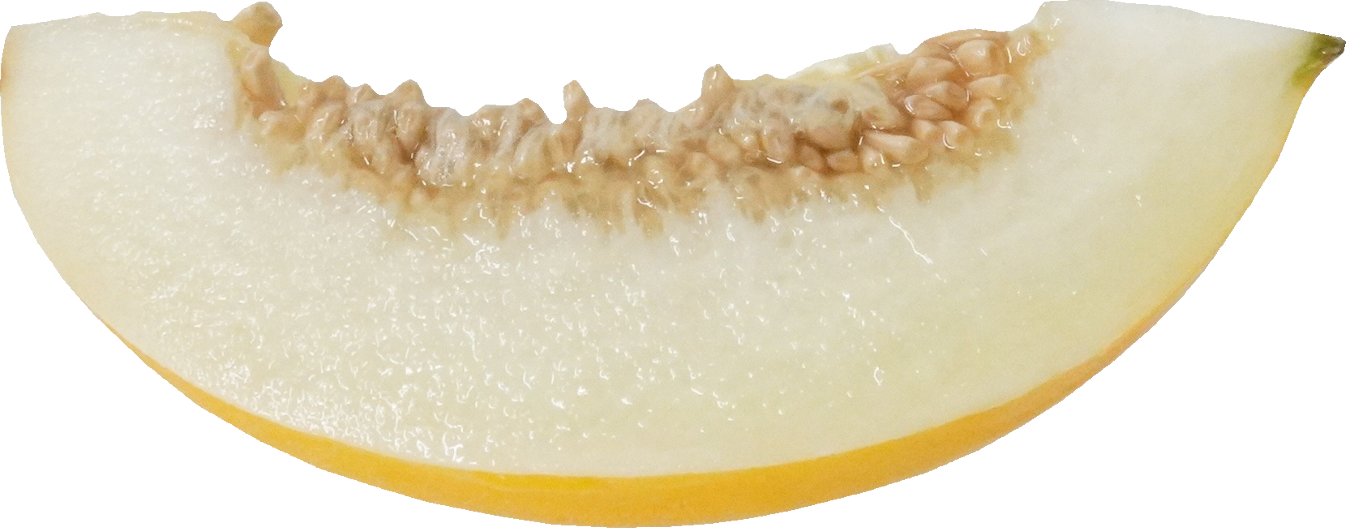 イエローキングメロン｜商用可フリー画像・背景透過