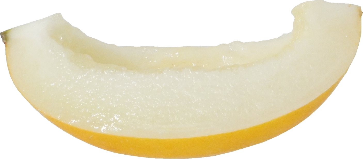 イエローキングメロン｜商用可フリー画像・背景透過