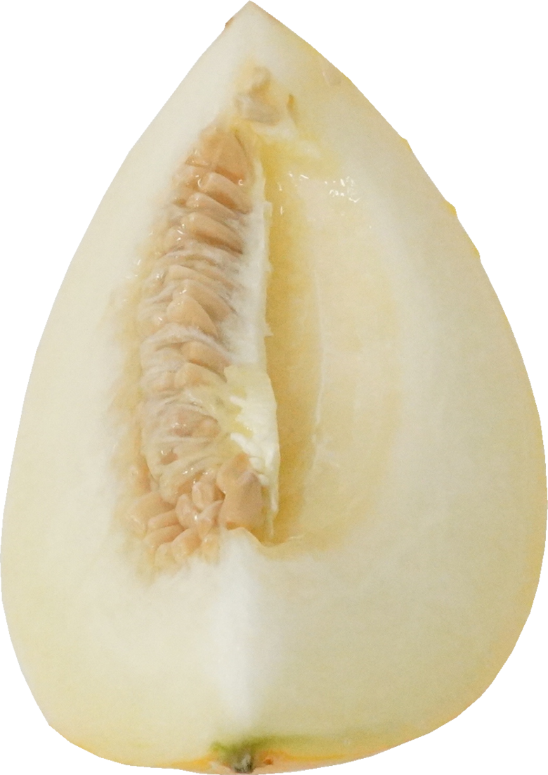 イエローキングメロン｜商用可フリー画像・背景透過