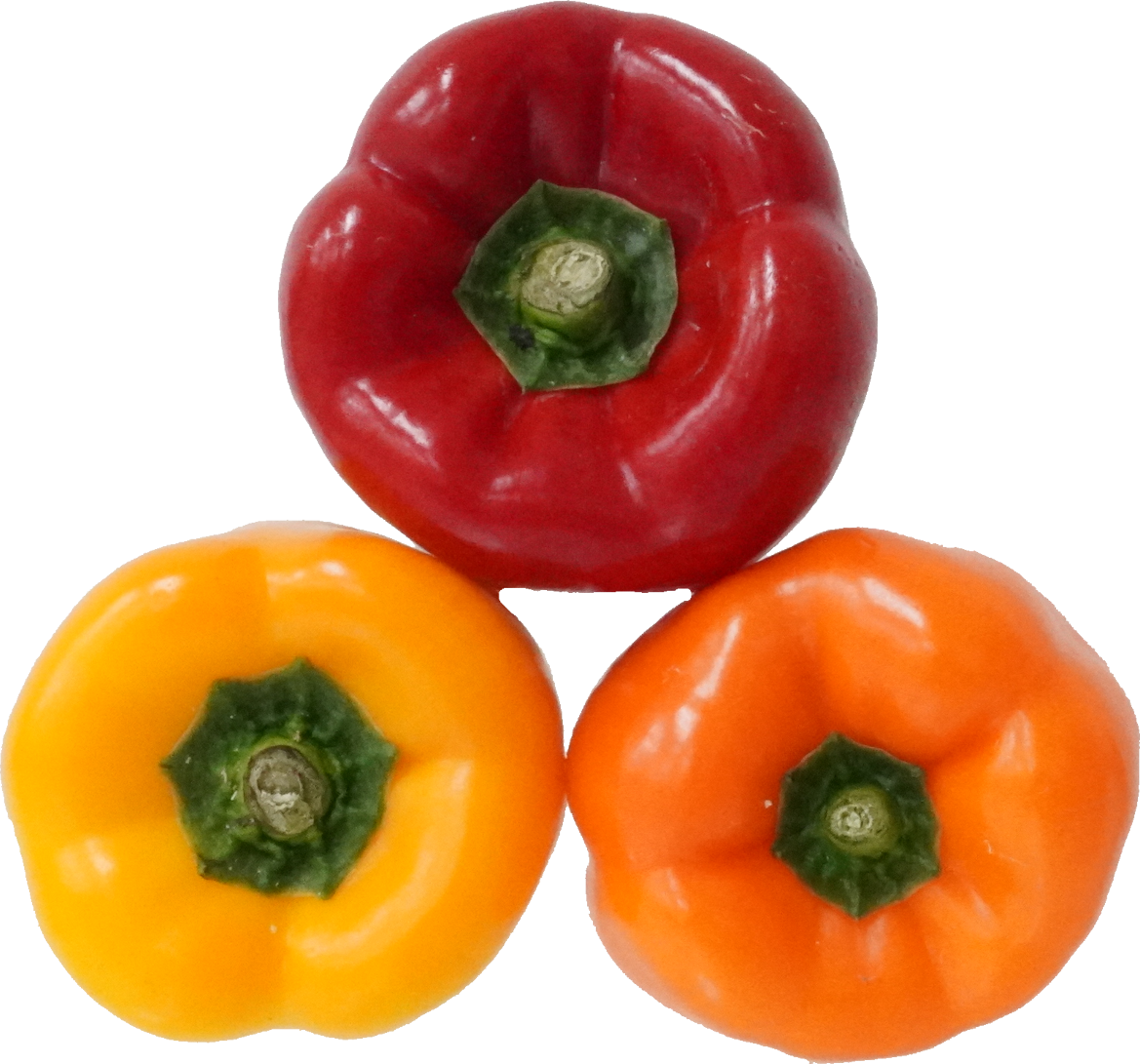 ピーマン｜商用可フリー画像・背景透過