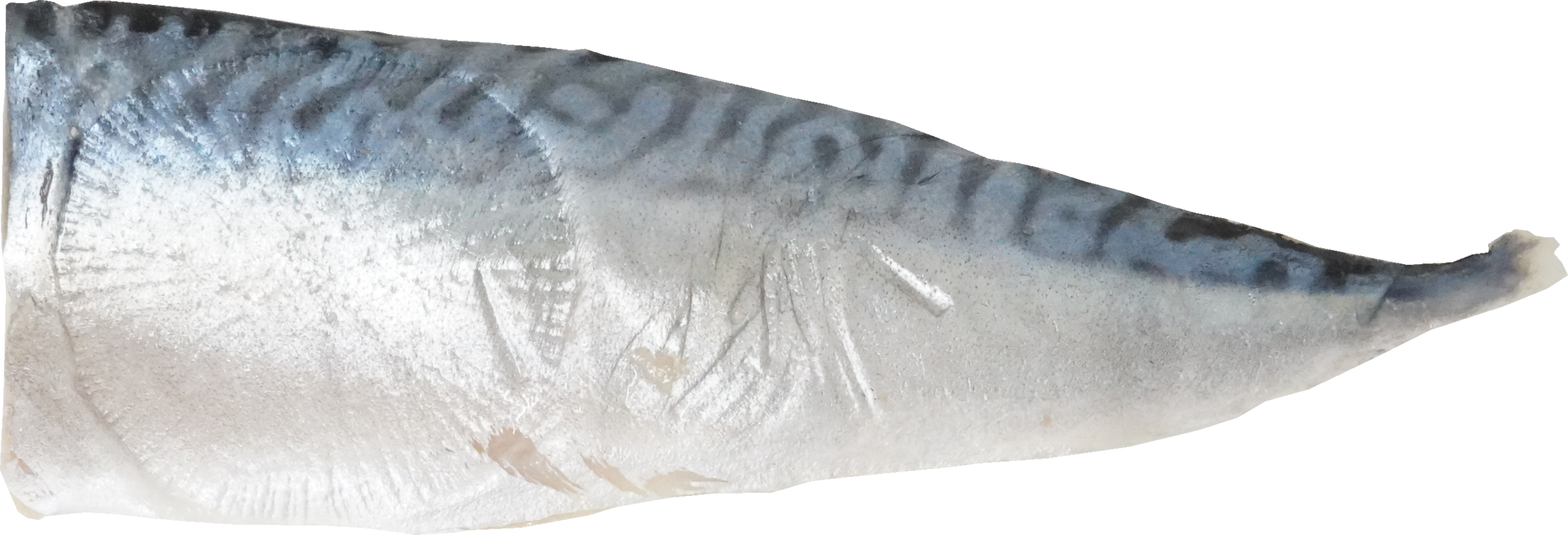 さば（加工品・しめさば）｜商用可フリー画像・背景透過