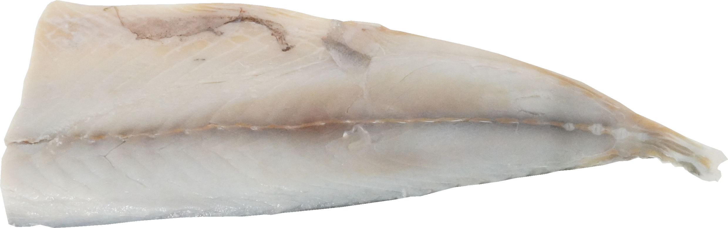 さば（加工品・しめさば）｜商用可フリー画像・背景透過