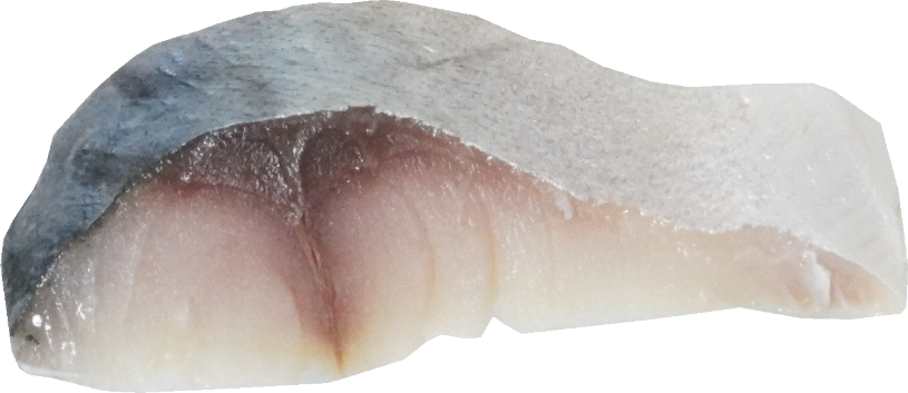 さば（加工品・しめさば）｜商用可フリー画像・背景透過