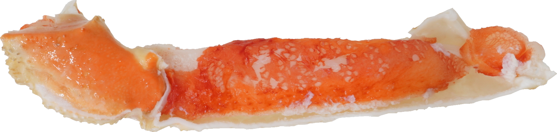 ずわいがに｜商用可フリー画像・背景透過